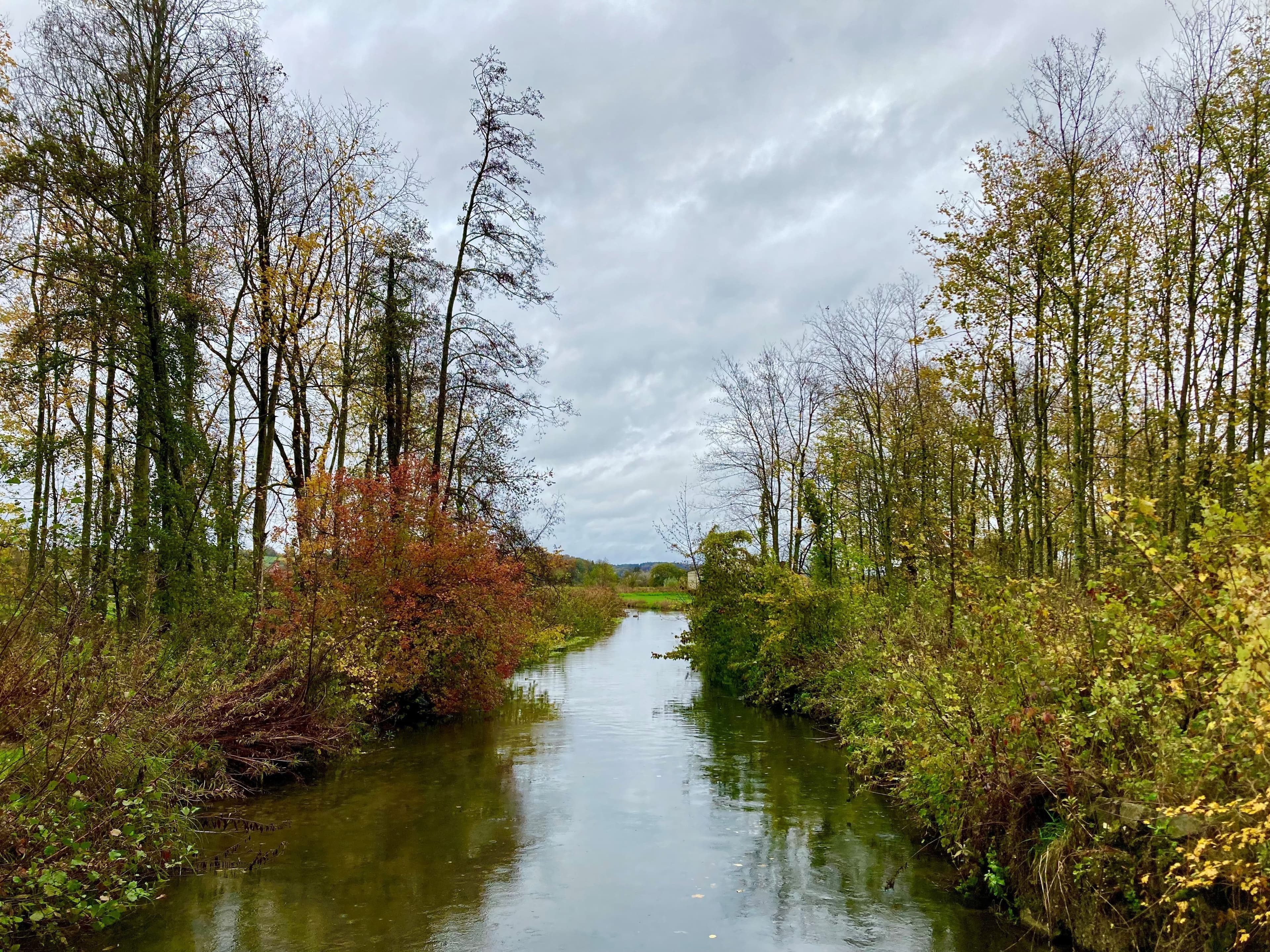 Geheimnisvolle Bachmuschel im Klötzlmühlbach | Symbolbild