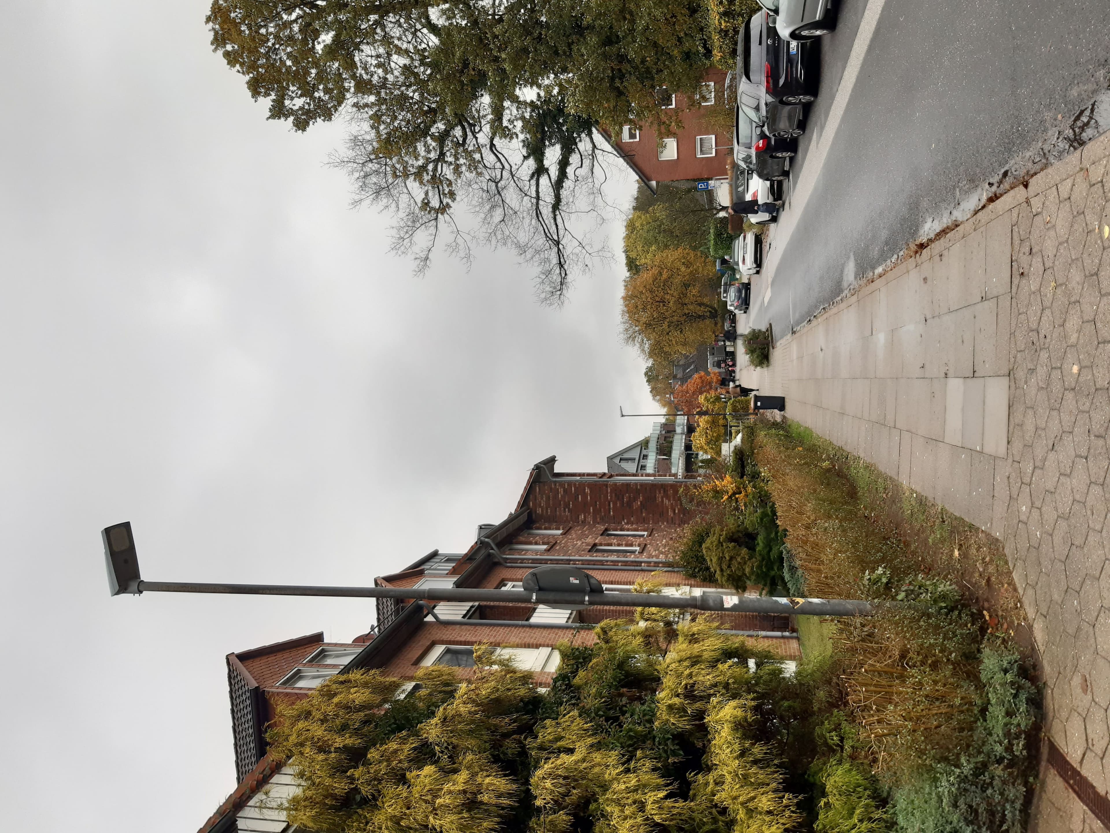 Screenshot der App Störung 24 erleichtert die Meldung defekter Straßenlaternen., Straßenbeleuchtung in der Straße Am Radeland sorgt für Sicherheit in den Abendstunden.