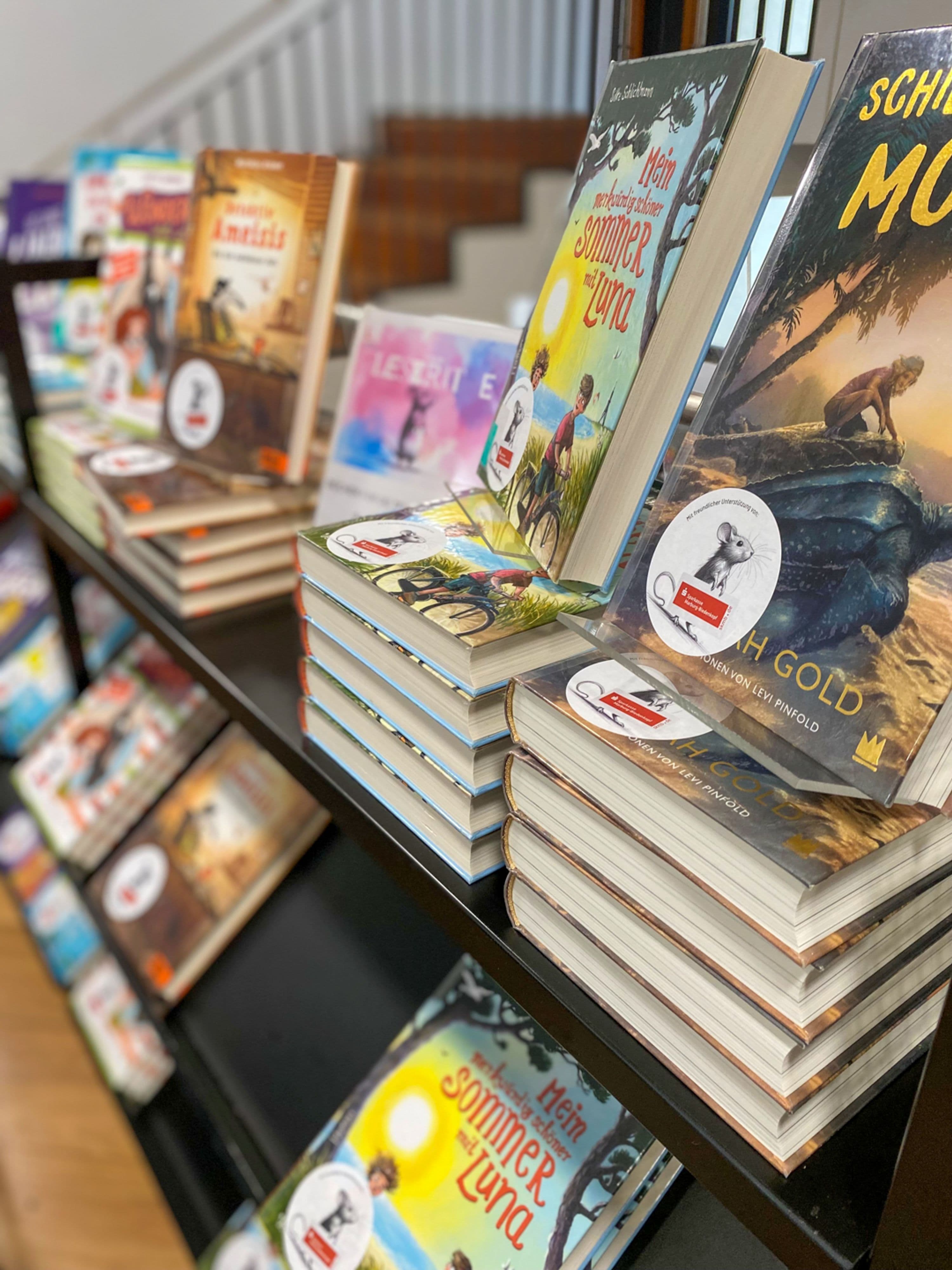 Bücherregale und ausgewählte Titel in der Stadtbücherei Marburg für das Leseprojekt 'Ich bin eine Leseratte'.