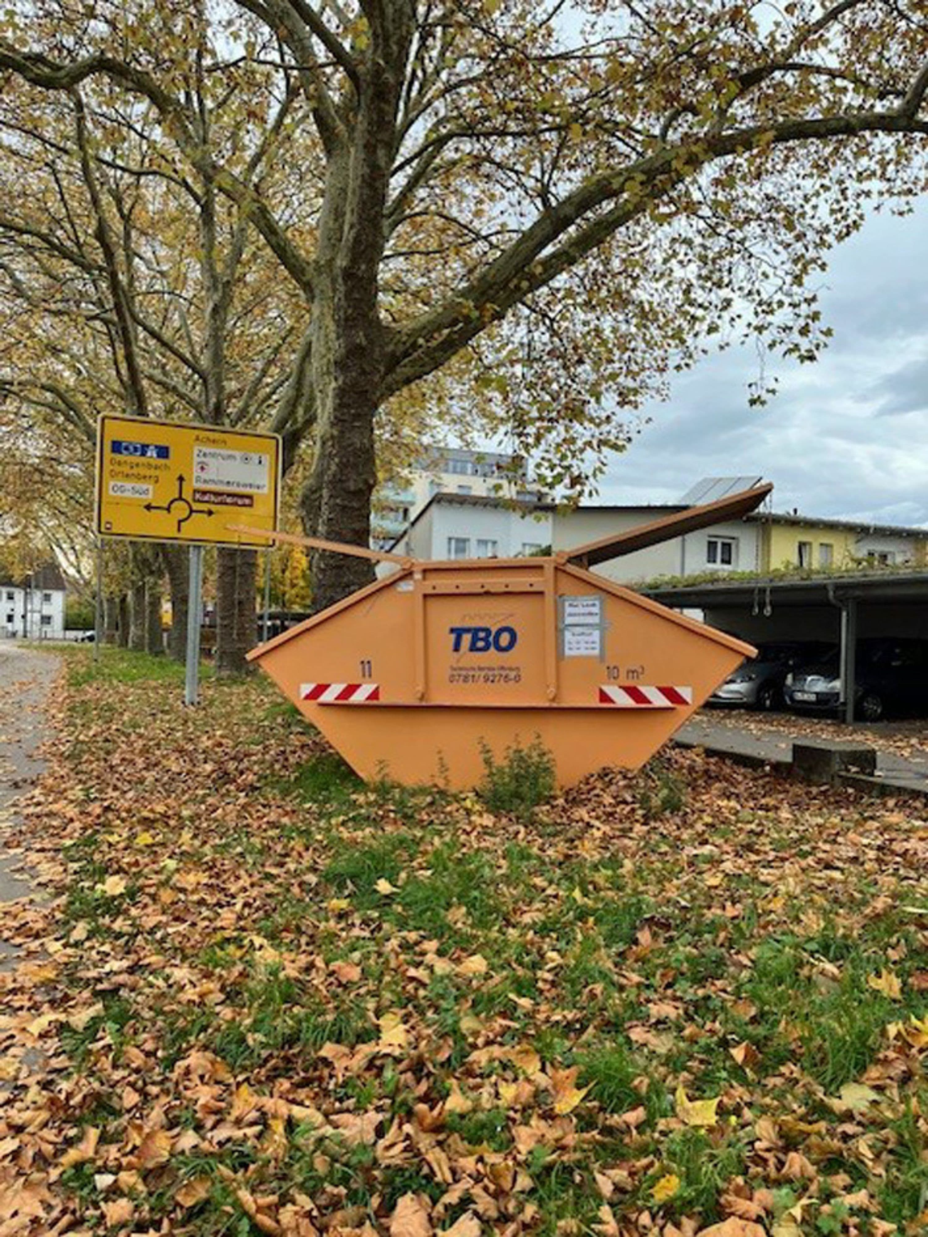 Container für das Sammeln von Herbstlaub in Offenburg, fotografiert von Niedick.