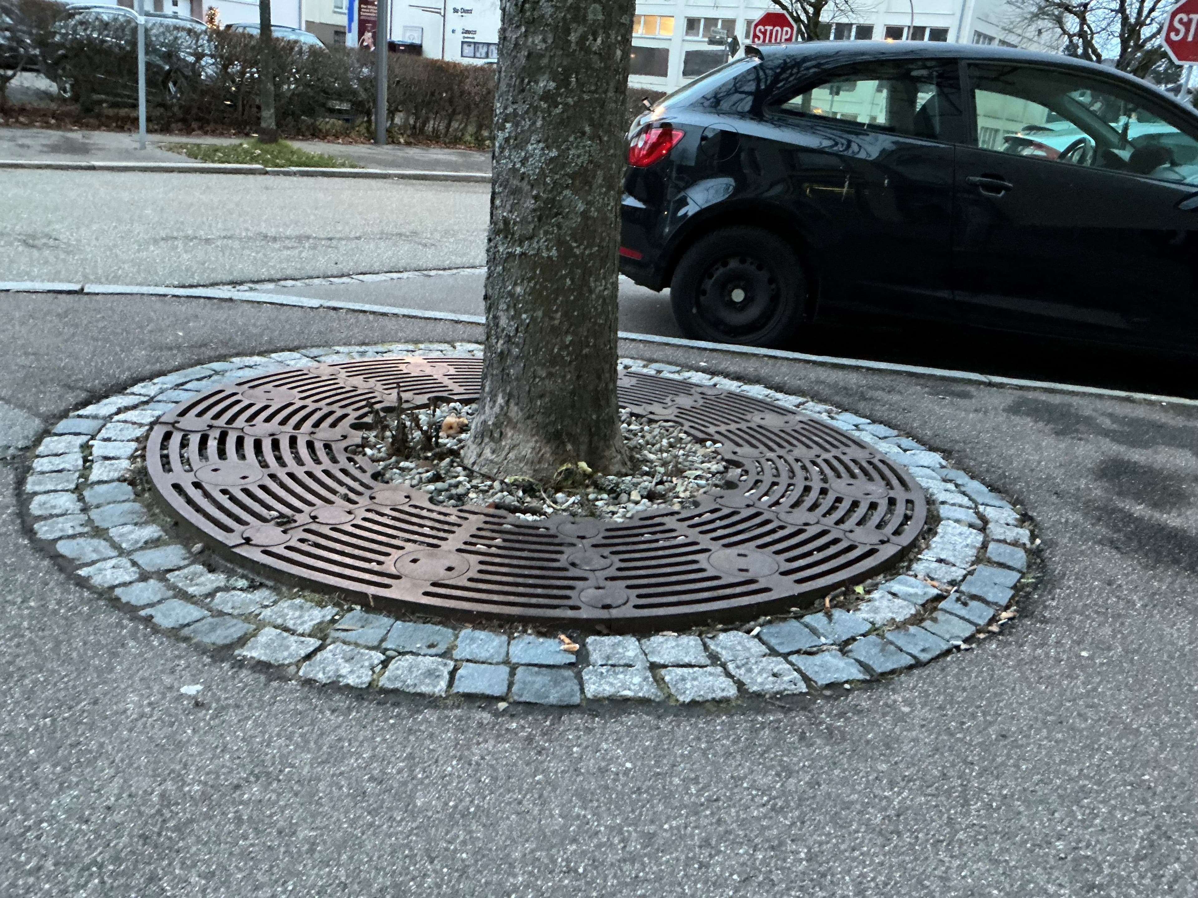 Das Baumquartier in der Musbacher Straße wird erweitert, um mehr Platz für Bäume zu schaffen.