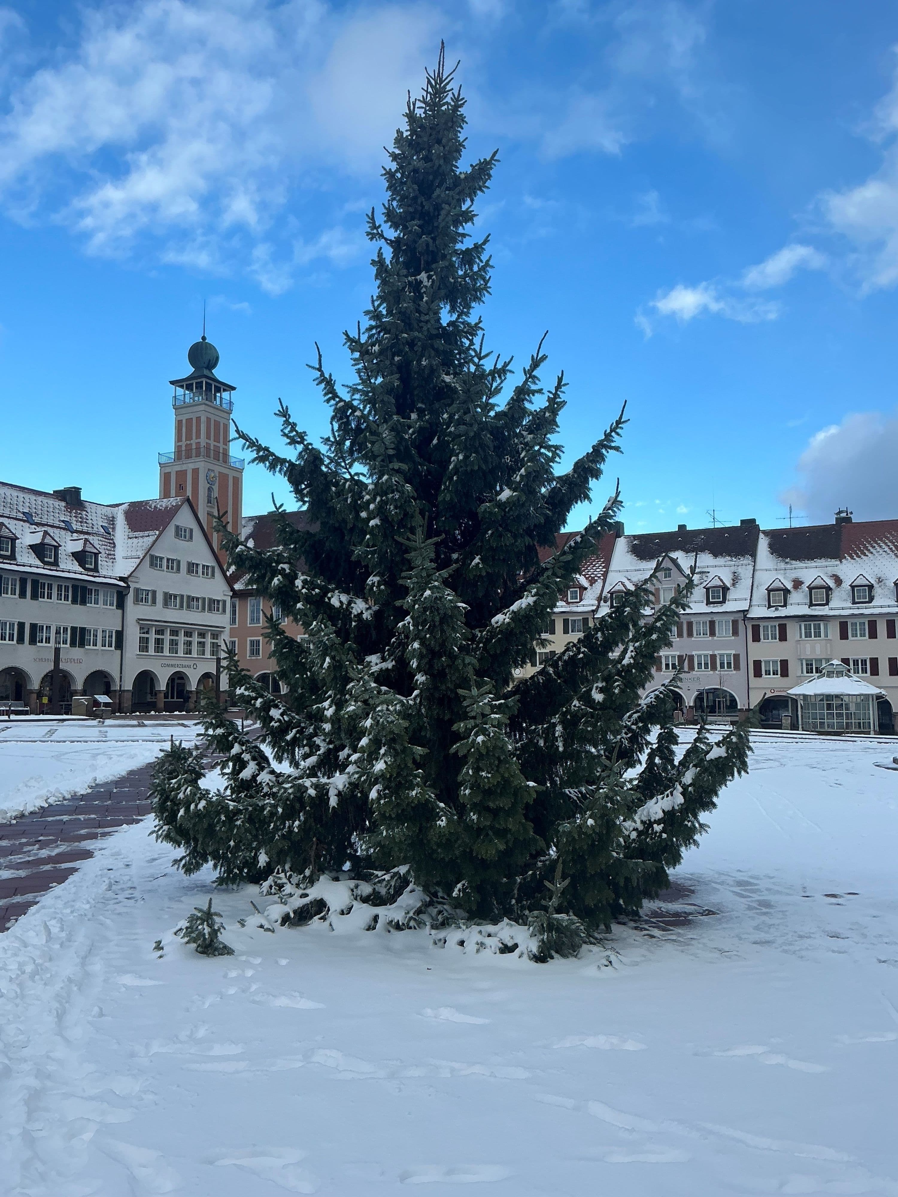 Weihnachtsbaum am Stadthaus mit erstem Schnee auf Deutschlands größtem Marktplatz in Freudenstadt.