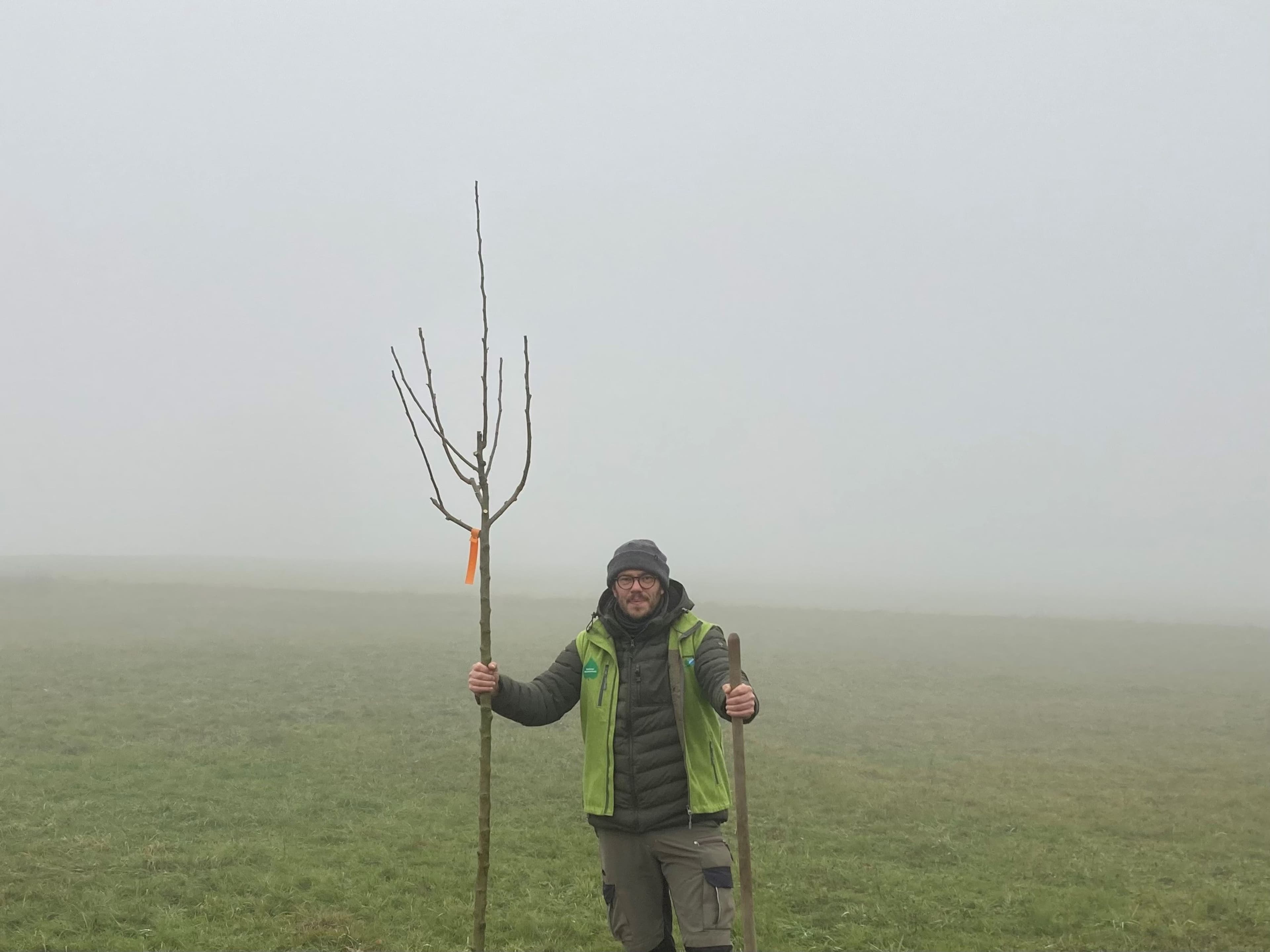 65 Obstbäume für Landshuts Naturschutzgebiet | Symbolbild