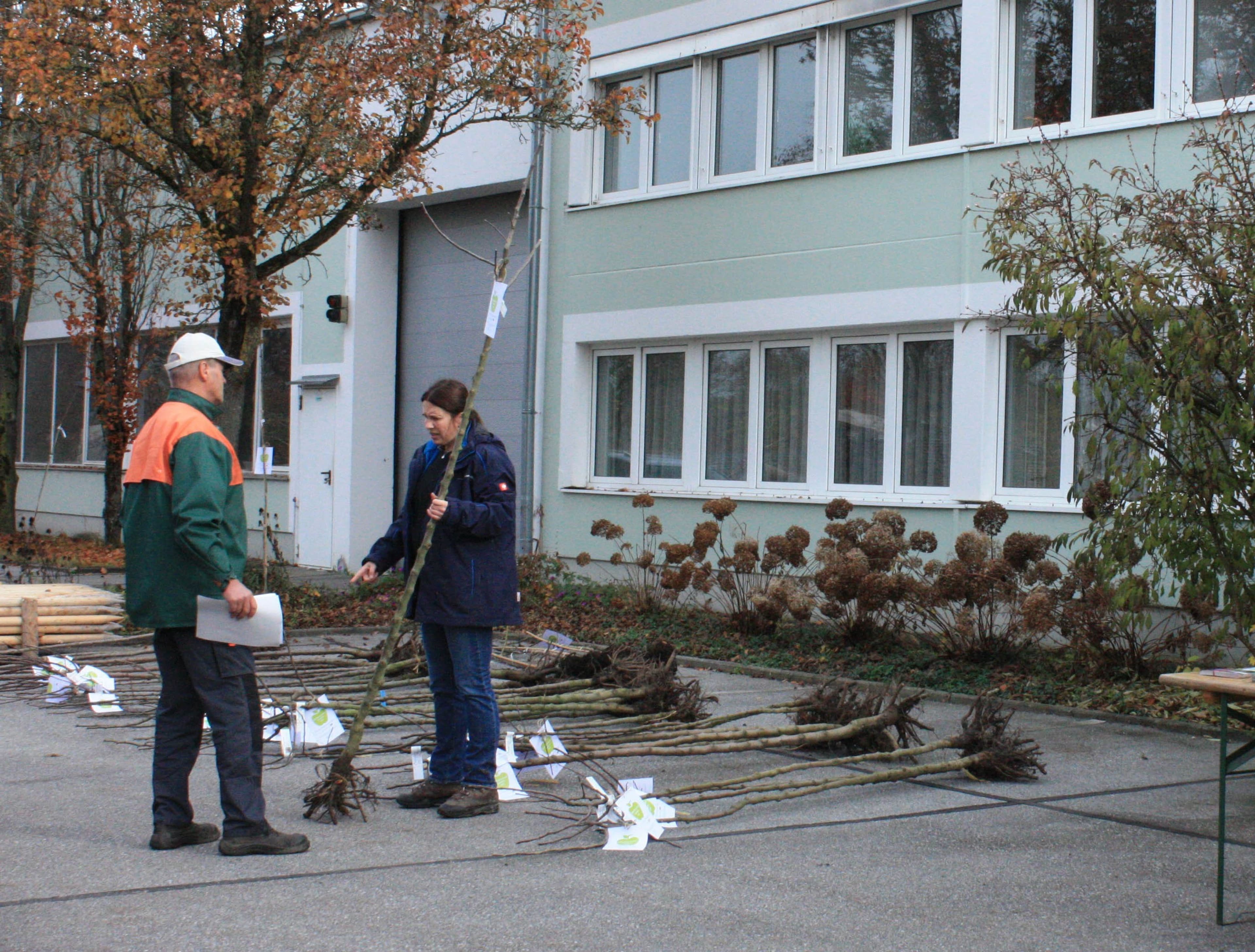 Landshut pflanzt Zukunft: 48 Obstbäume für alle | Symbolbild