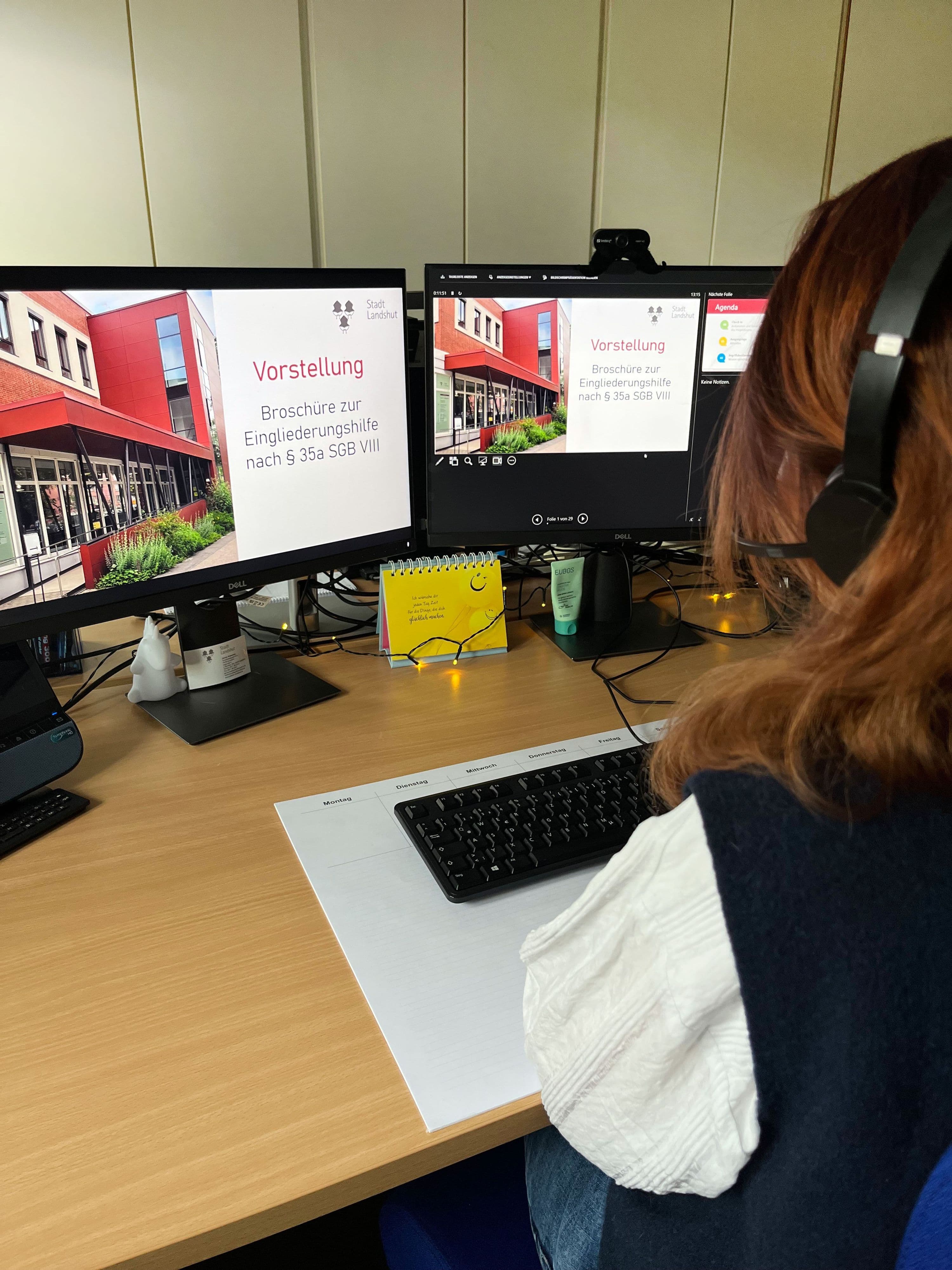 Die neue Broschüre zur Eingliederungshilfe wurde beim Online-Trägertag vorgestellt.