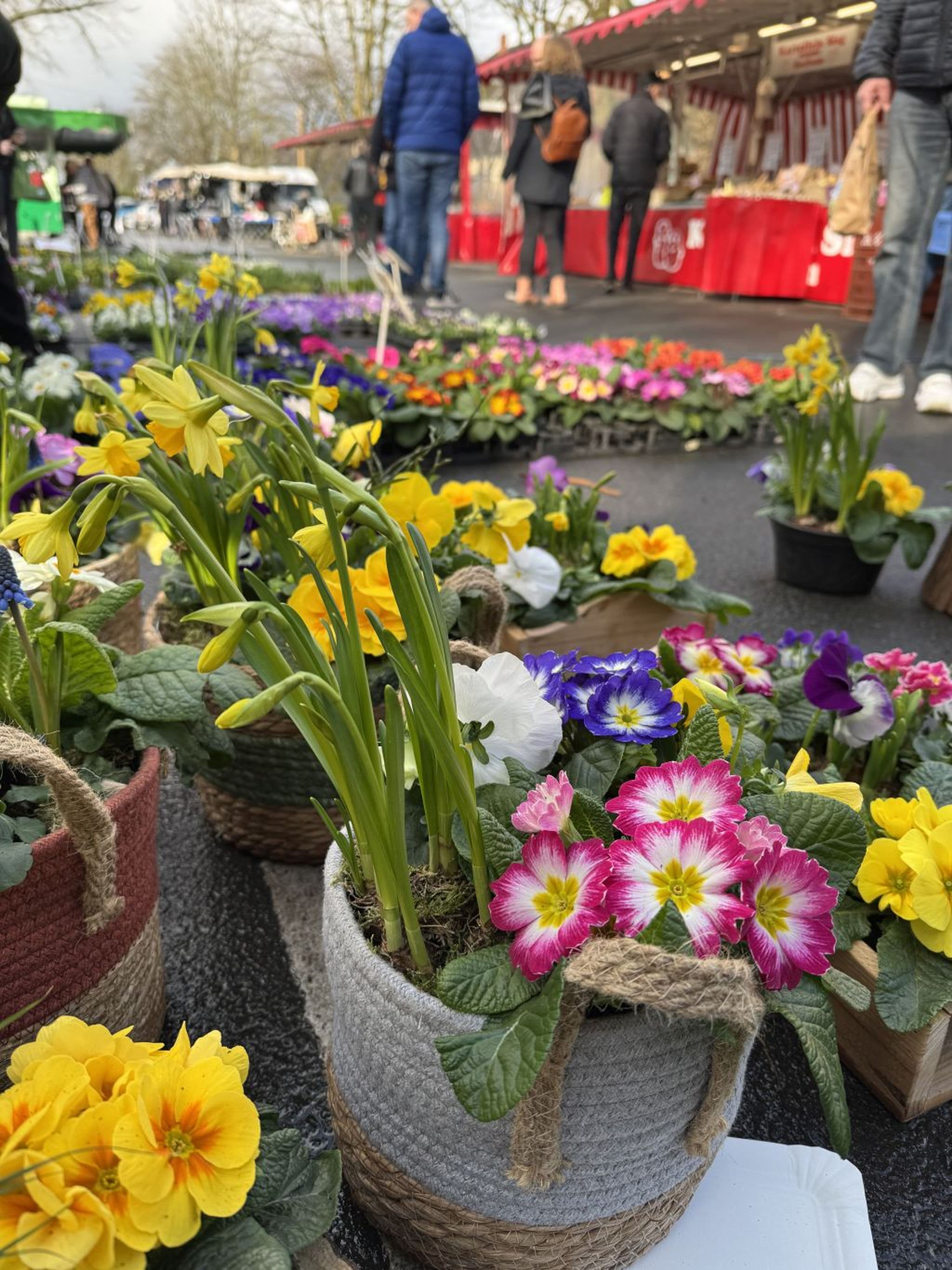 Start in die Marktsaison: Frühlingsaktion in Hettstedt | Symbolbild