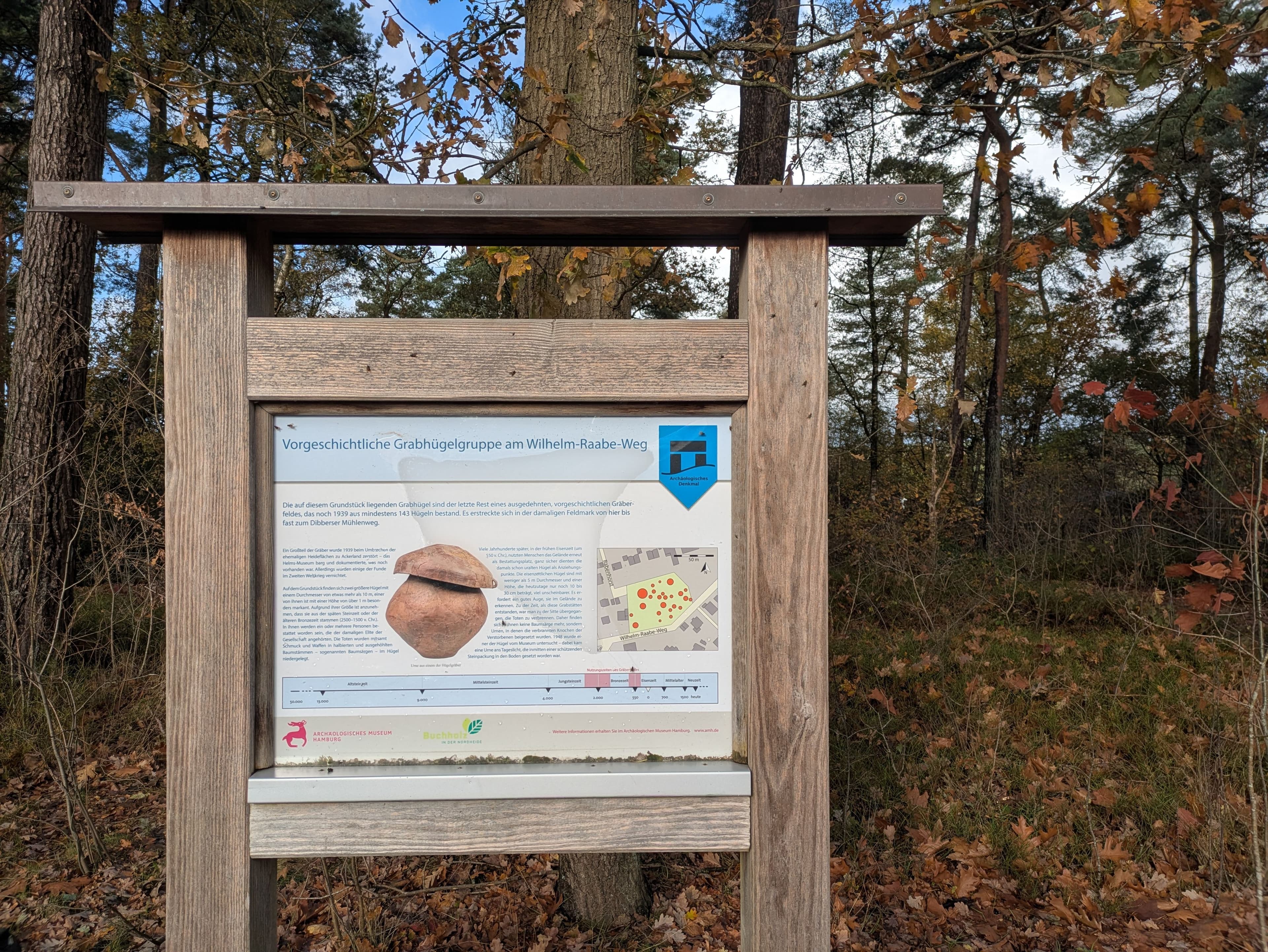 Pflege am Wilhelm-Raabe-Weg startet im Herbst 2025 | Symbolbild