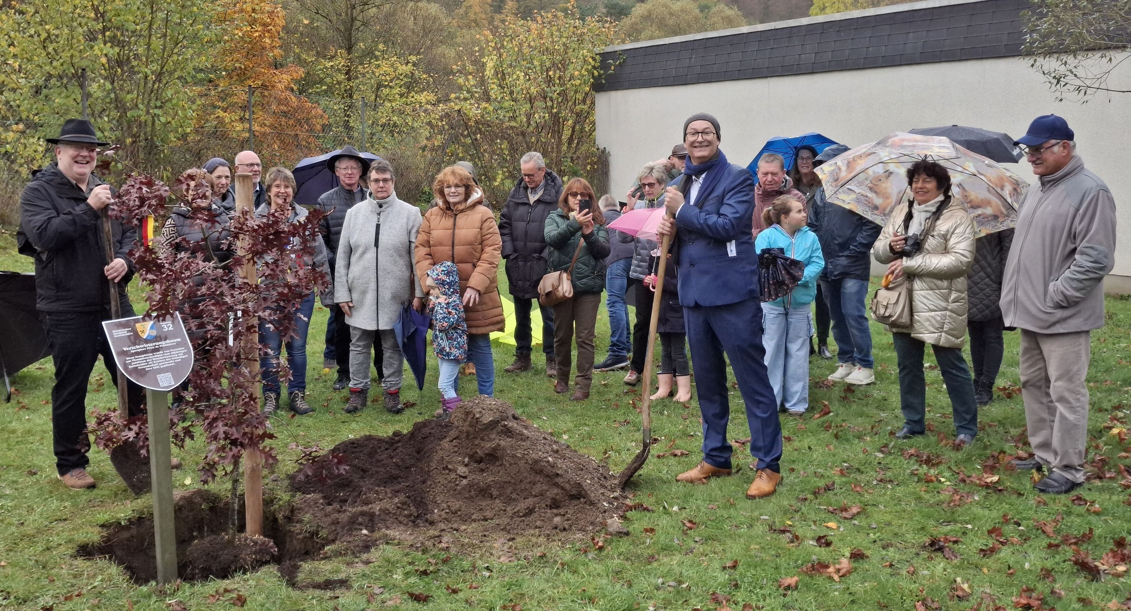 60 Jahre Freundschaft: Die Sumpf-Eiche als neues Symbol | Symbolbild