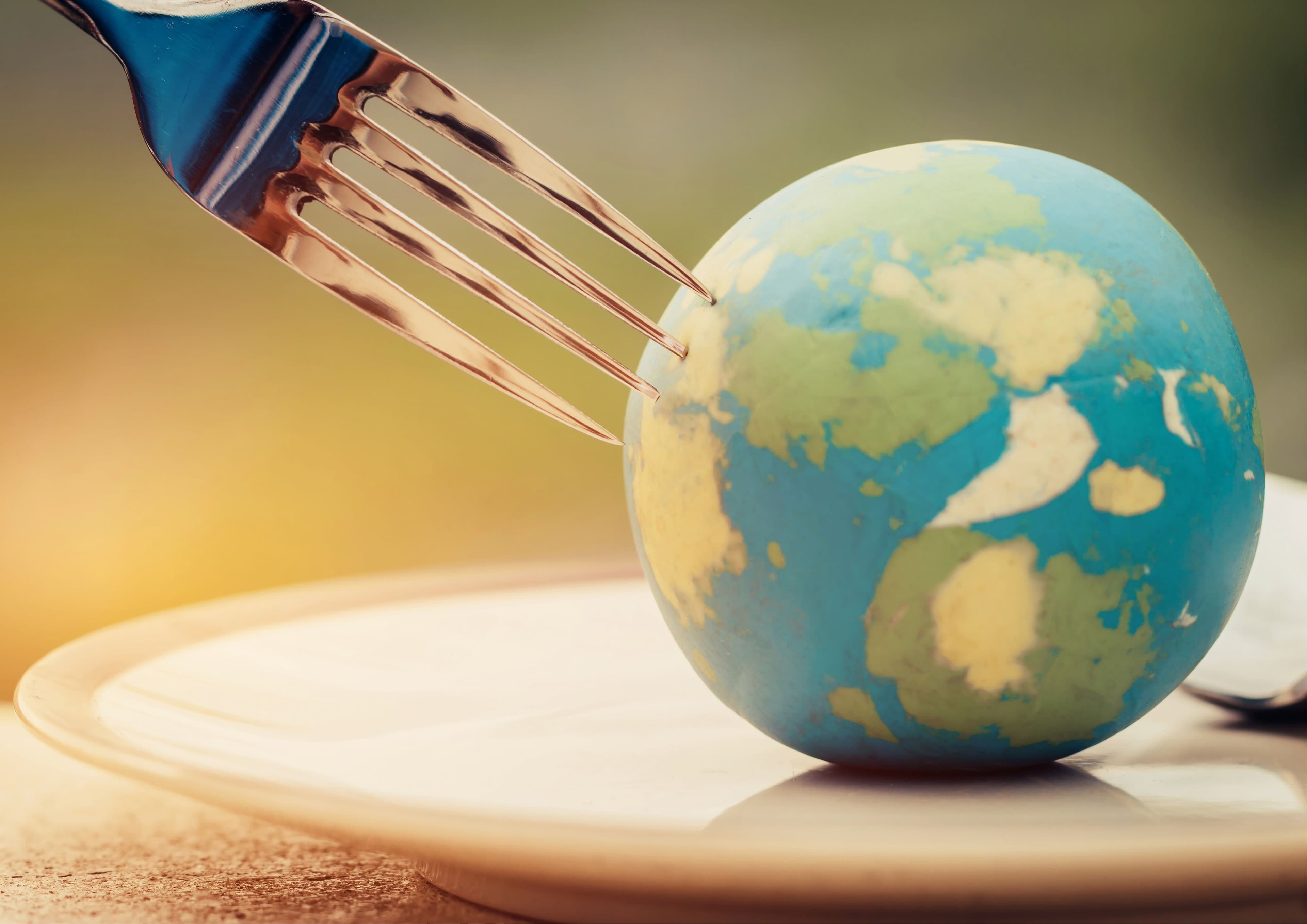 Nachhaltigkeit und Heimatkunde: Veranstaltungen in St. Ingbert | Symbolbild