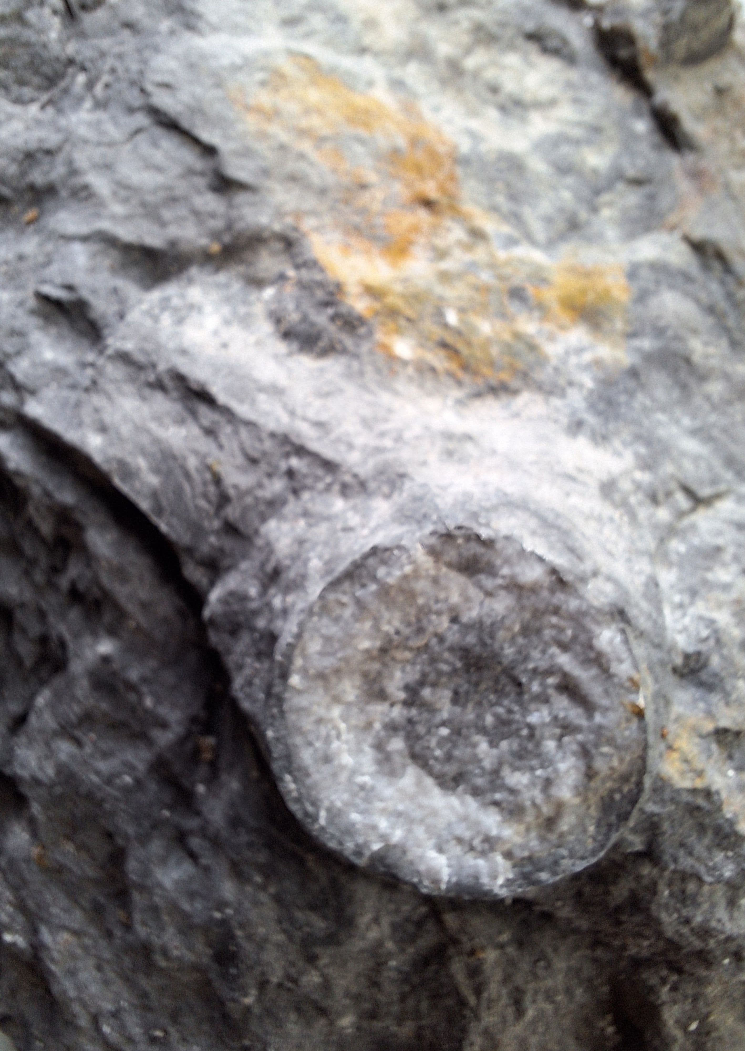 Menden erinnert an ermordete Sinti und Roma | Symbolbild