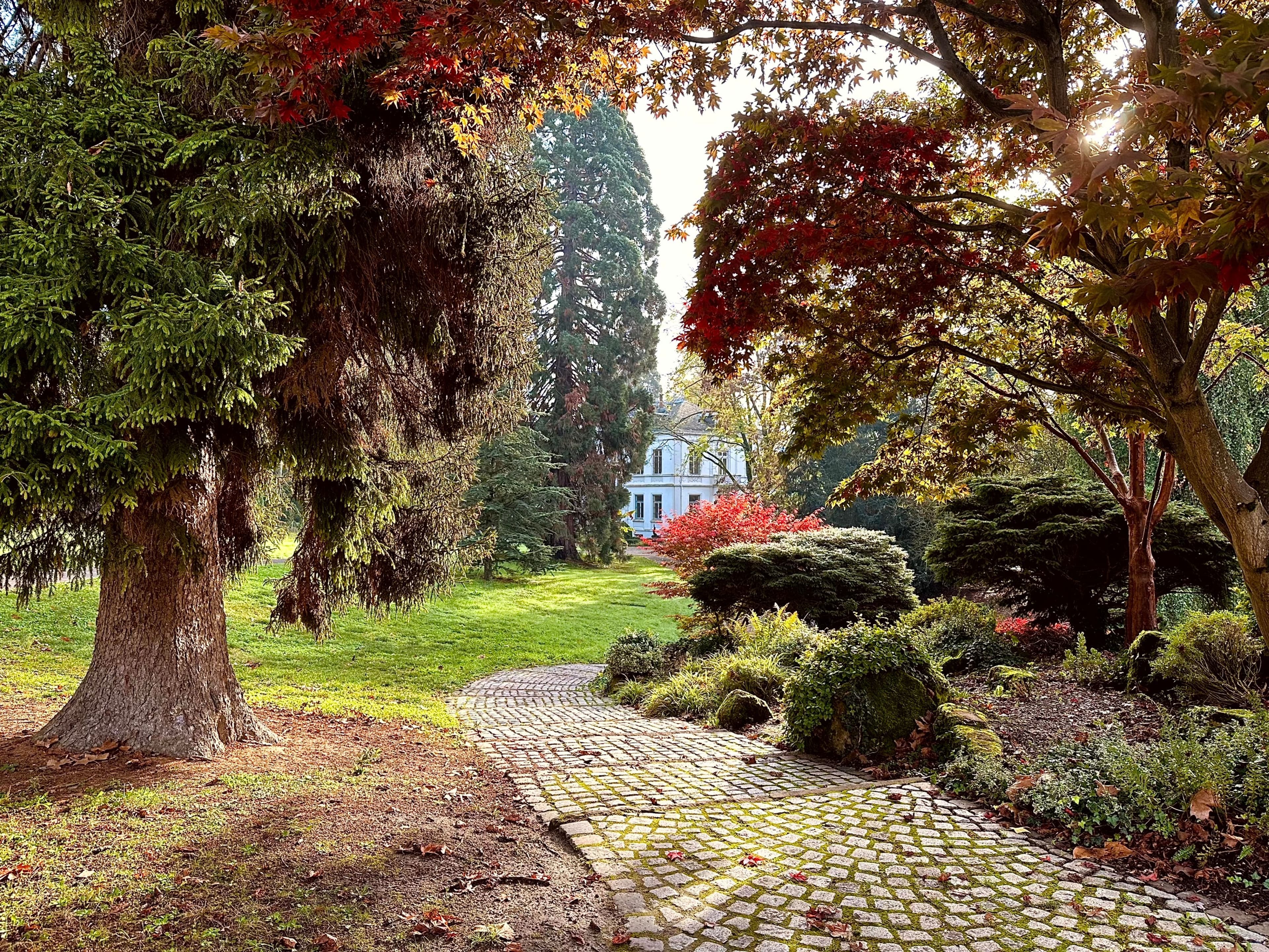 Beeindruckende Naturaufnahmen und Einblicke in die Grundlagen der Fotografie im Stadtpark Lahr., Fotostationen und professionelle Shootings von Christian Albrecht im Stadtpark Lahr., Fotostationen und Shootings von Rozalija Horvat im Stadtpark mit Familien-Shooting.
