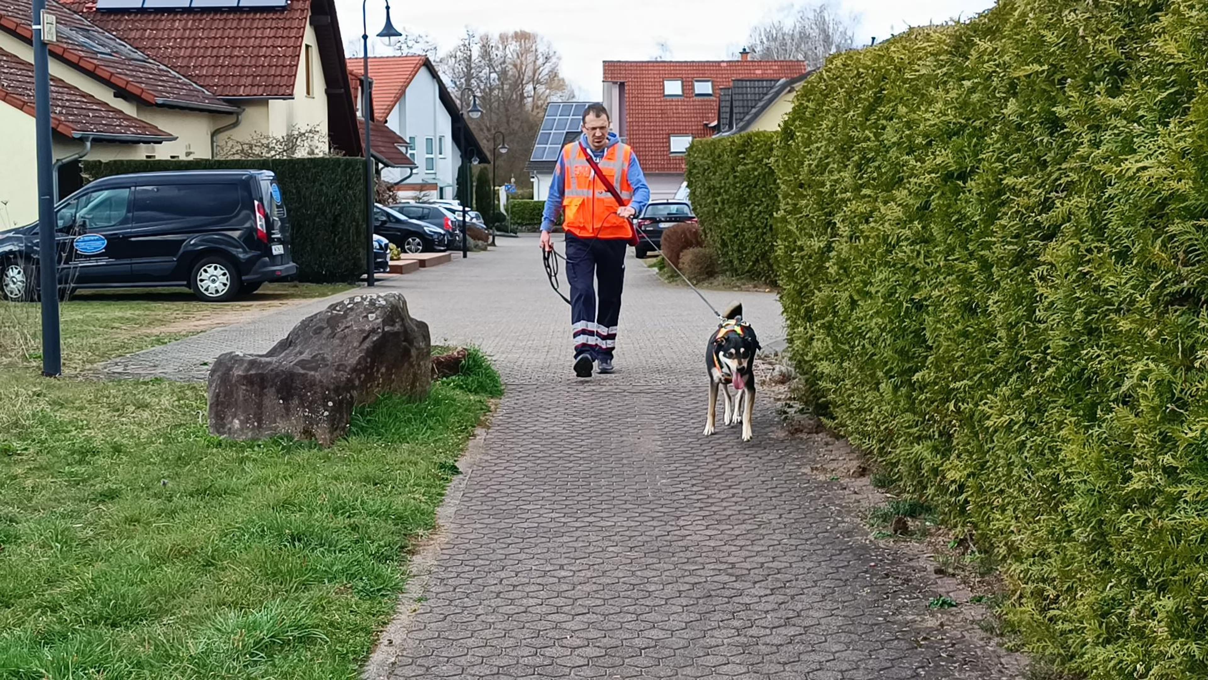 Training der Rettungshundestaffel des Malteser Hilfsdienstes Homburg in St. Ingbert.