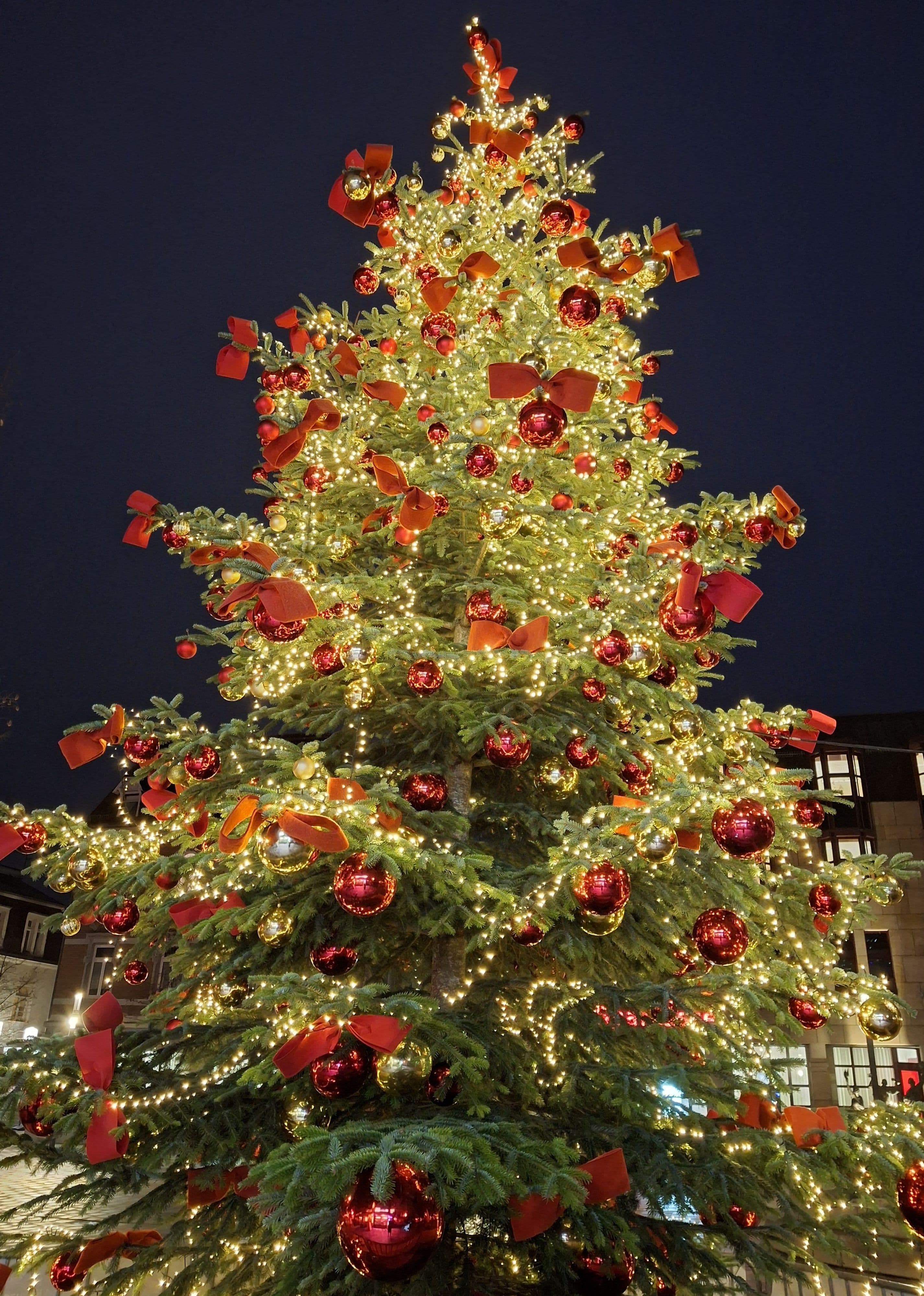 Weihnachtlich geschmückter Weihnachtsbaum auf dem Kornmarkt im Stadtzentrum von Bad Kreuznach.