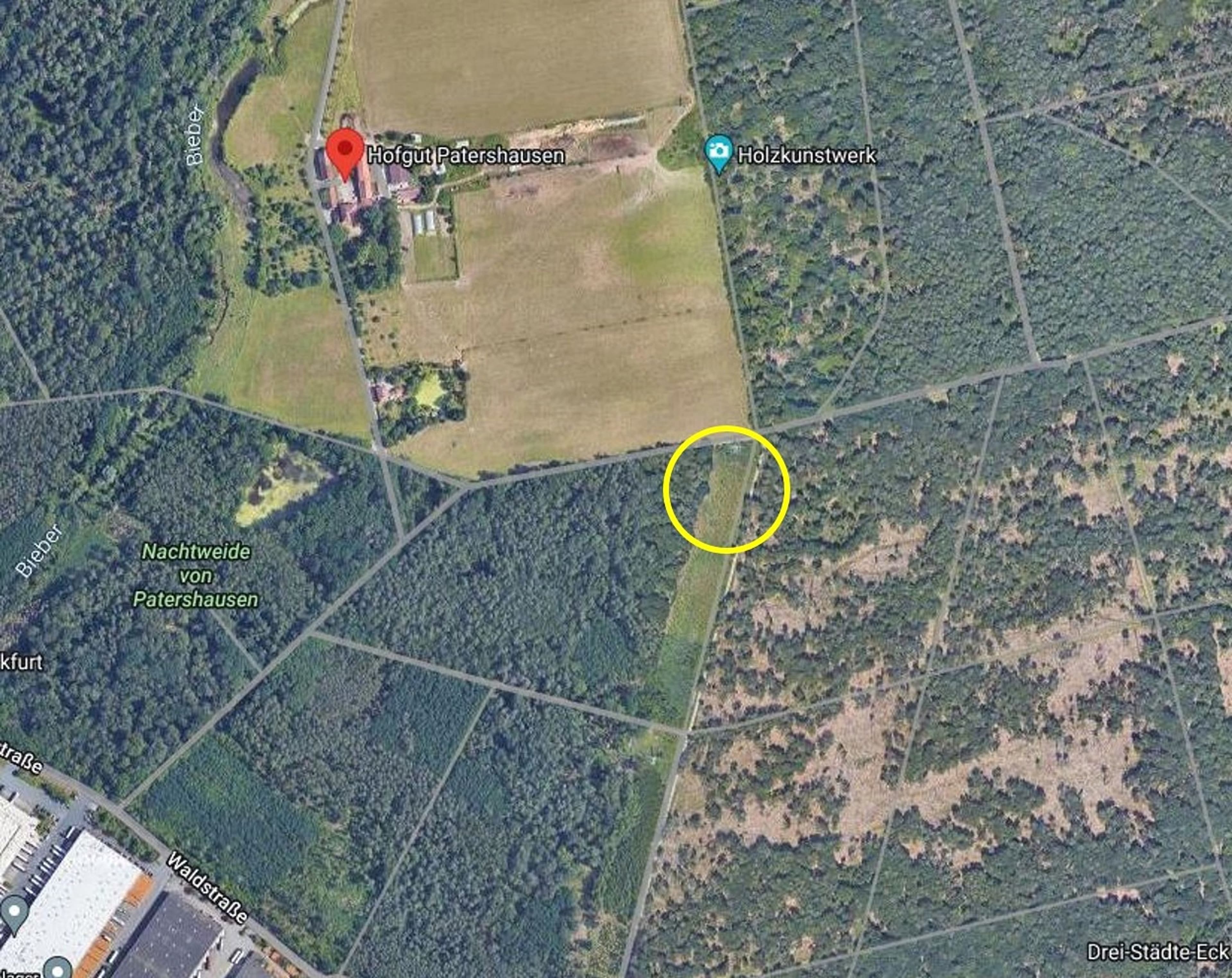 Orange the World: Stadt setzt Zeichen gegen Gewalt an Frauen | Symbolbild