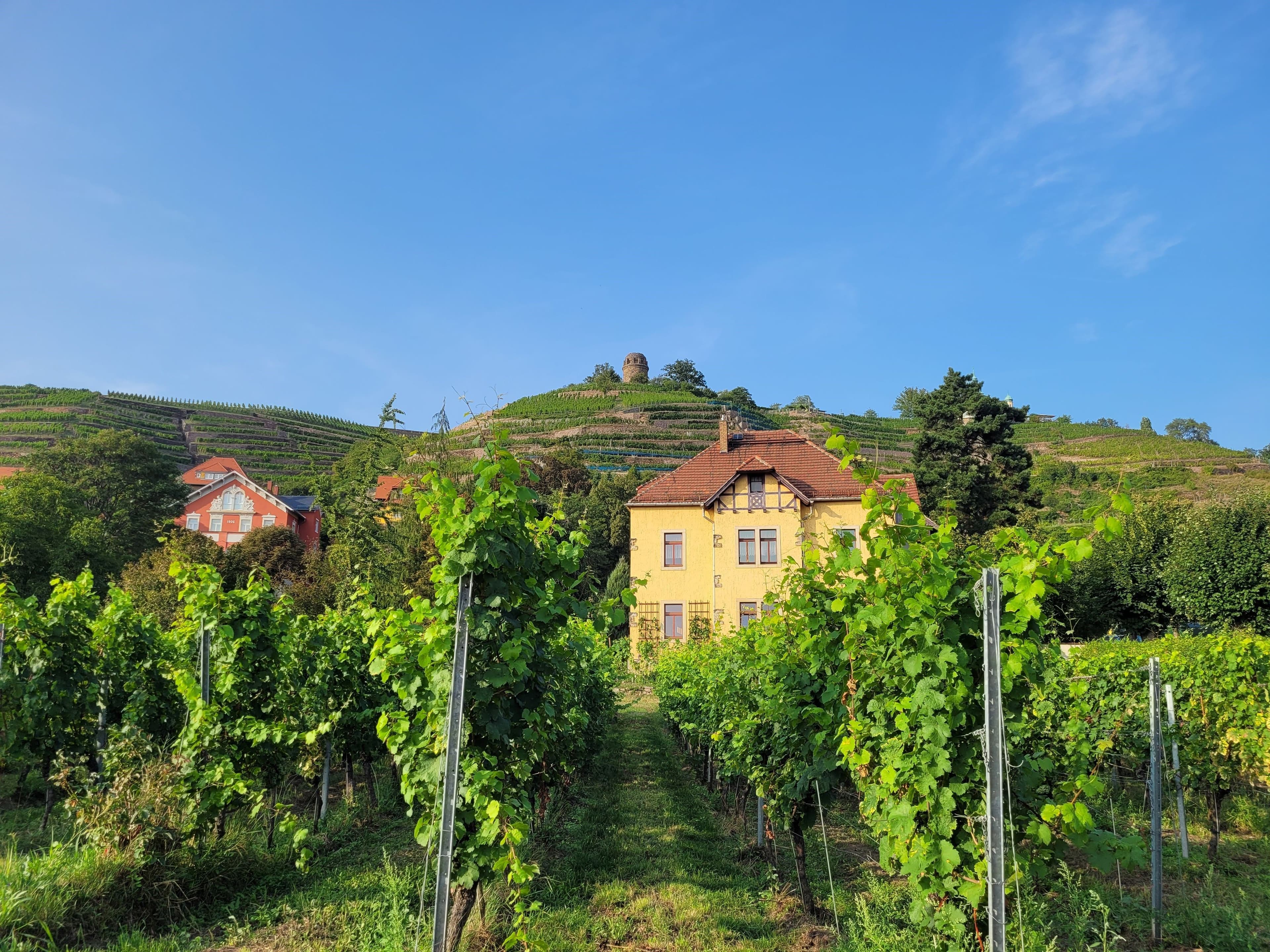 Die Bürgerfahrt der Stadt St. Ingbert nach Radebeul bot den Teilnehmern eine abwechslungsreiche und kulturelle Erfahrung, inklusive Besichtigungen und Ausflügen in die malerische Umgebung.